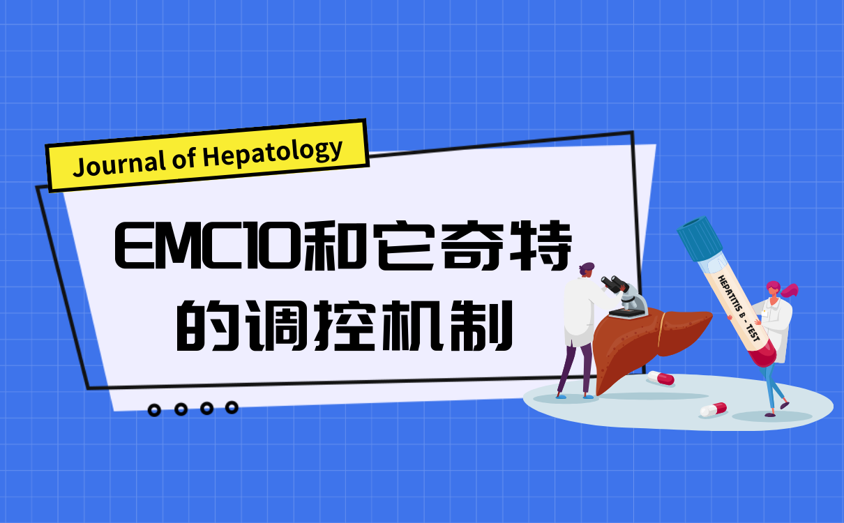 EMC10和它奇特的调控机制
