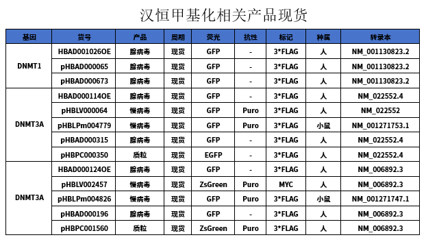 1066vip威尼斯相关甲基化产品