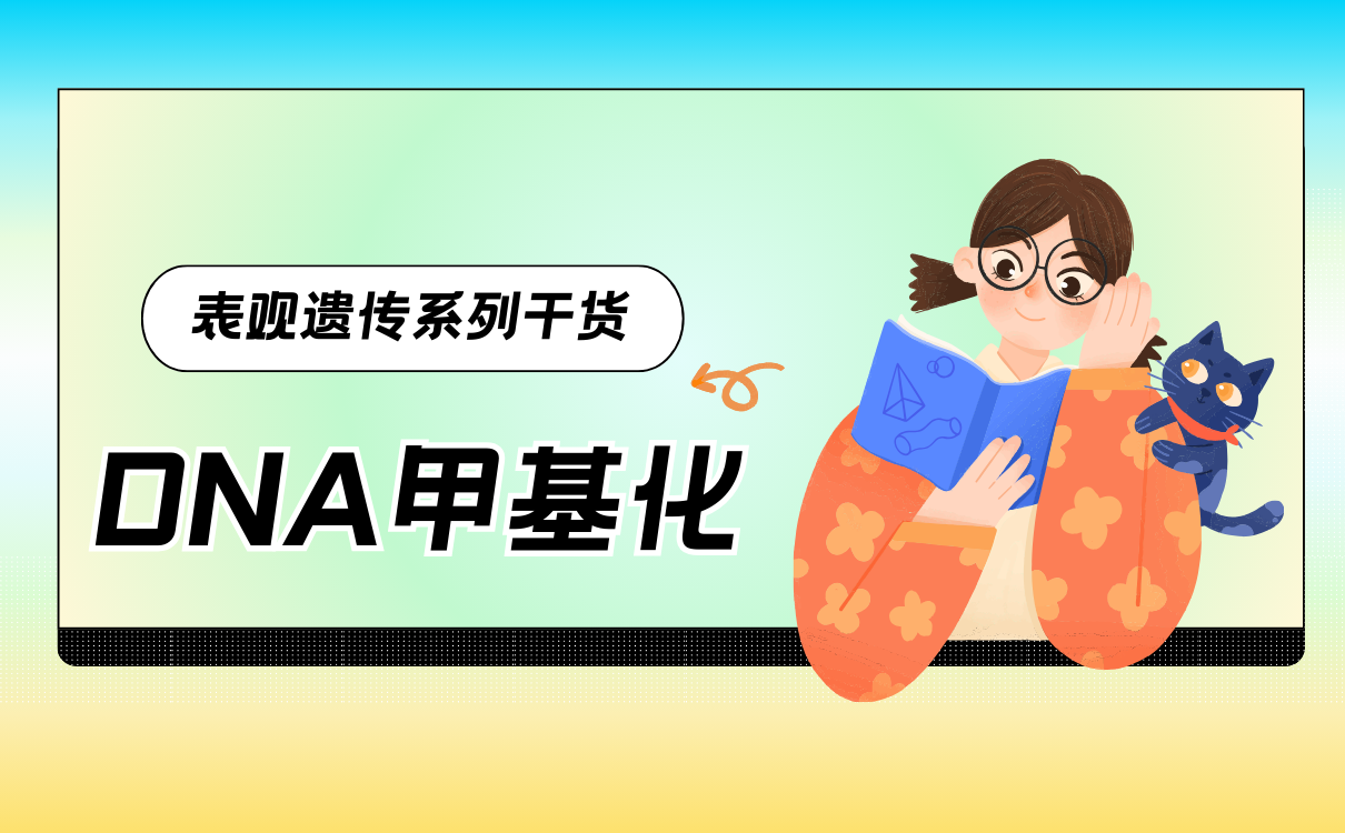 DNA甲基化